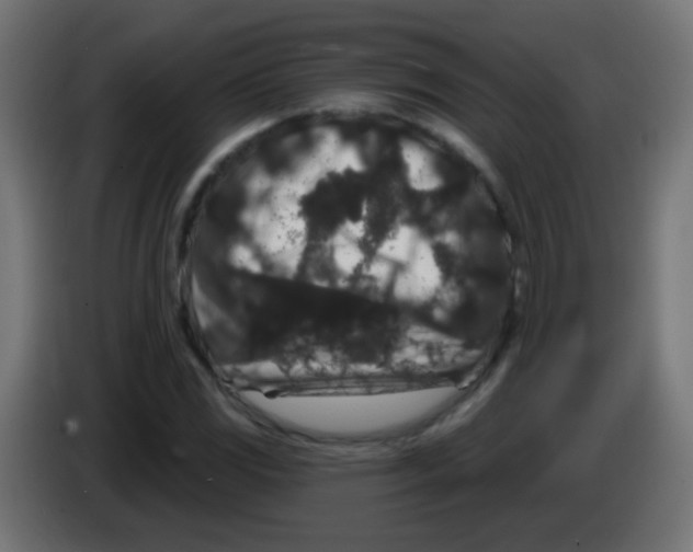 X0000083051117200703022104