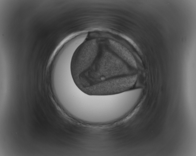 X0000083051118200703022104