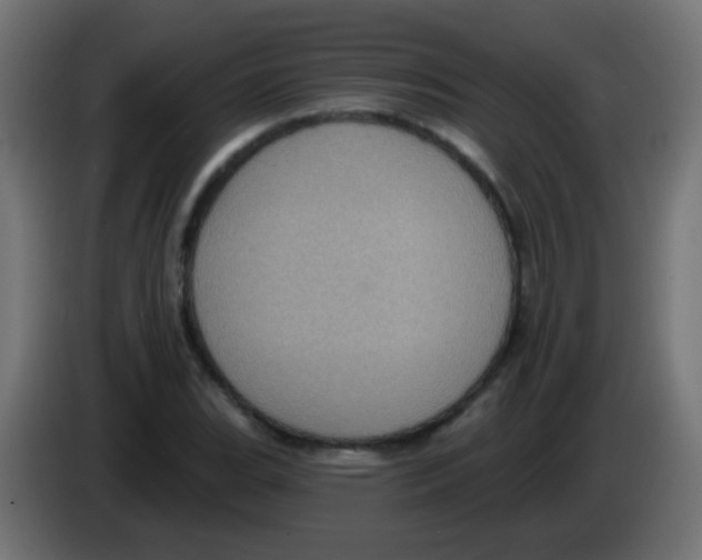 X0000083051119200703022104