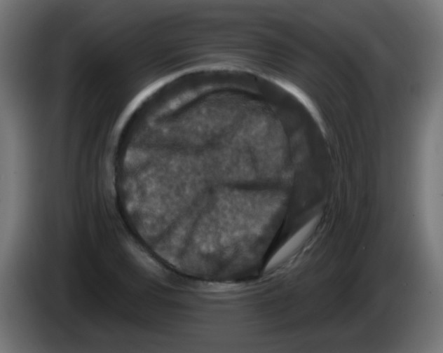 X0000083051120200703022104