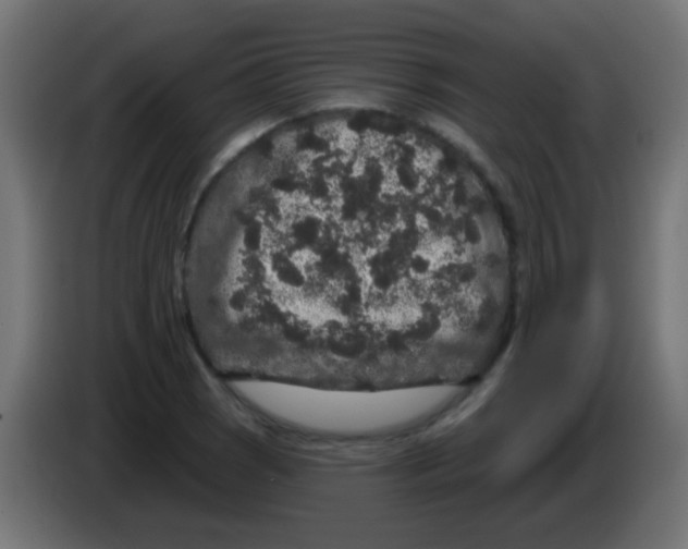 X0000083051121200703022104