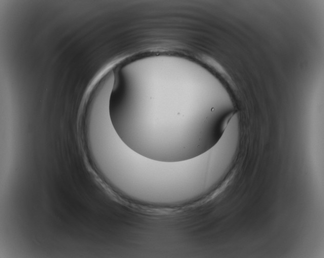 X0000083051122200703022104