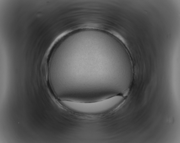 X0000083051123200703022105