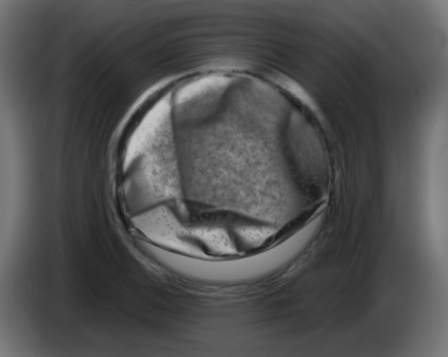 X0000083051124200703022105