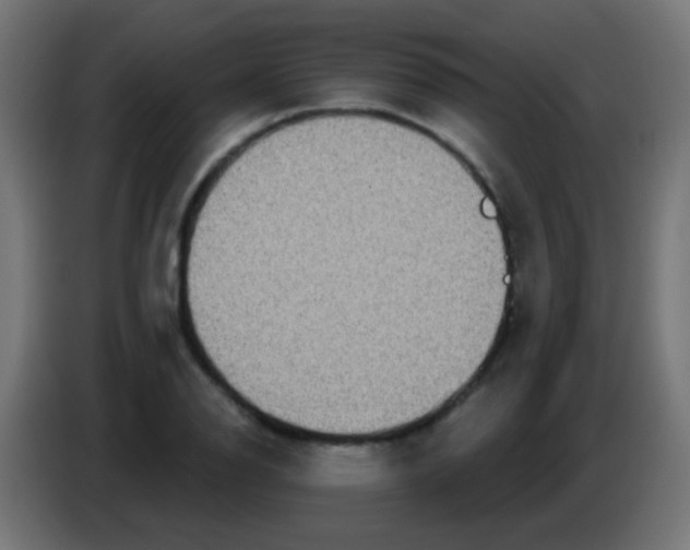 X0000083051126200703022105