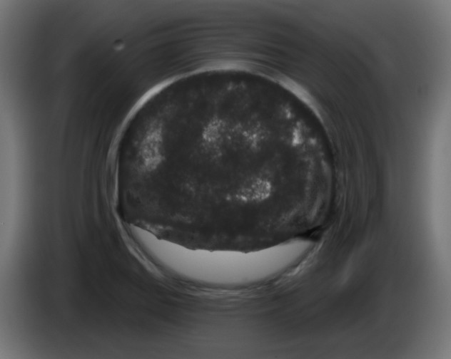 X0000083051127200703022105