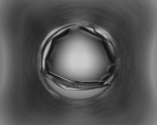 X0000083051128200703022105