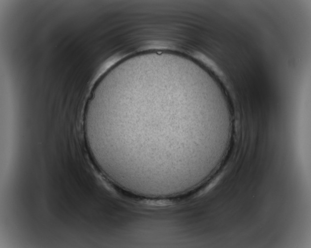 X0000083051129200703022105