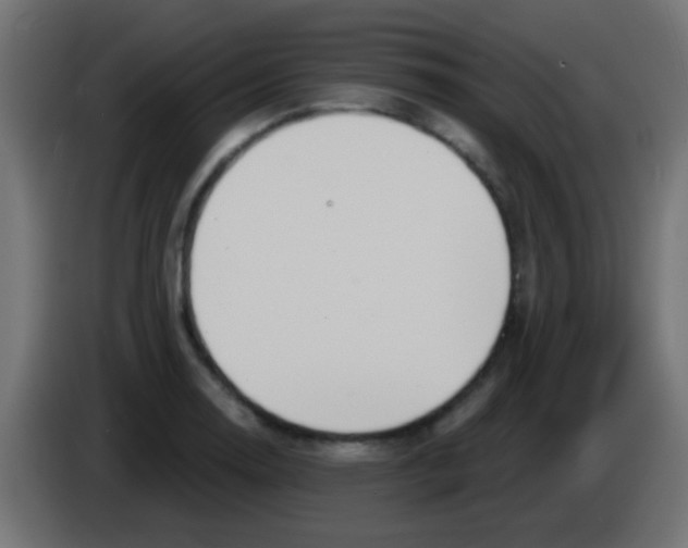 X0000083051130200703022105