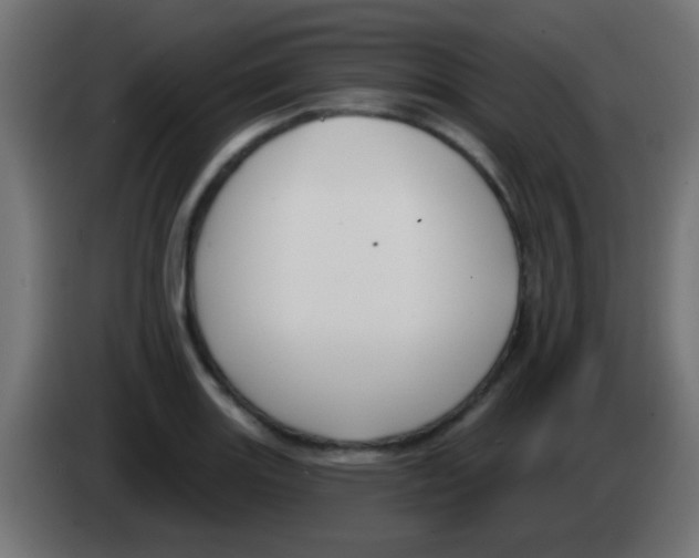 X0000083051131200703022105