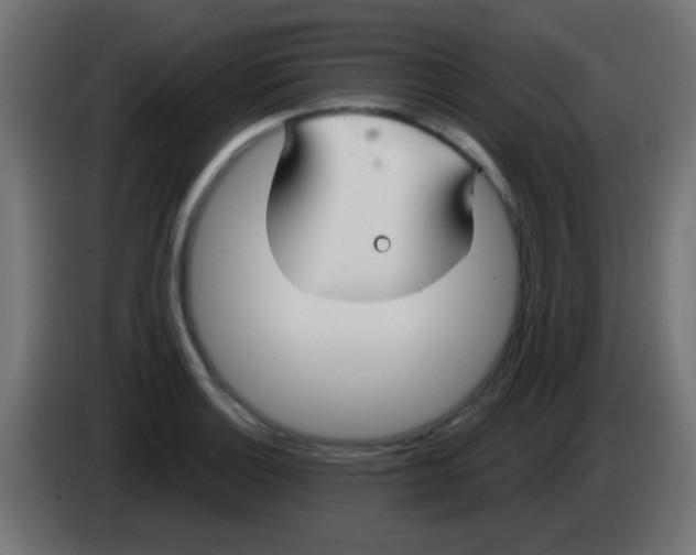 X0000083051132200703022105