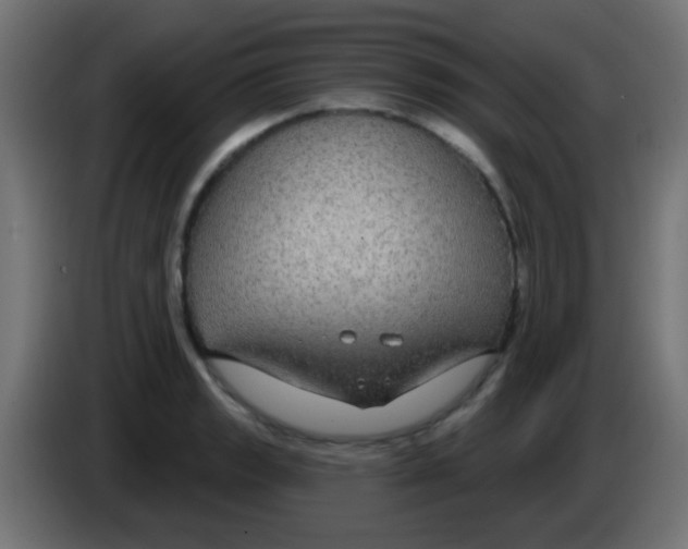 X0000083051133200703022105