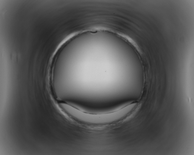 X0000083051134200703022105