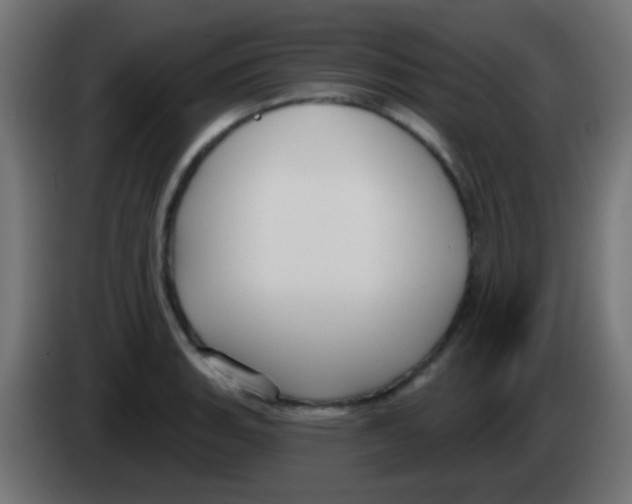 X0000083051135200703022105