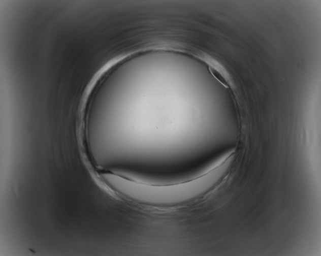 X0000083051136200703022105