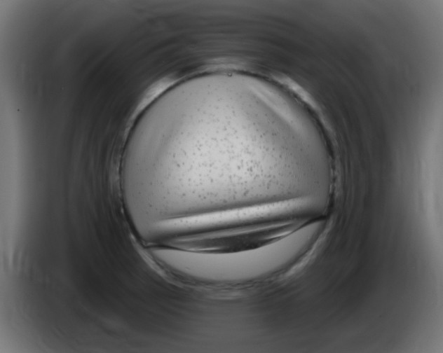 X0000083051137200703022105