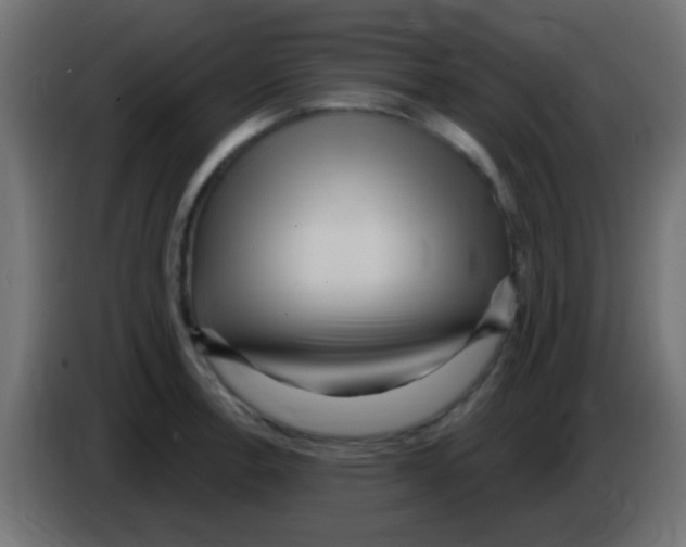 X0000083051138200703022105