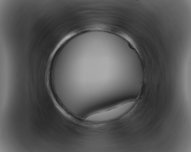 X0000083051139200703022105