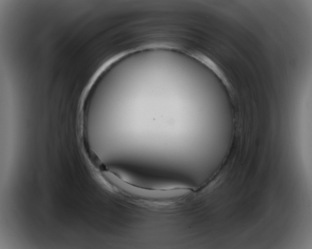 X0000083051140200703022105