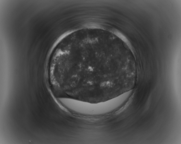 X0000083051141200703022105