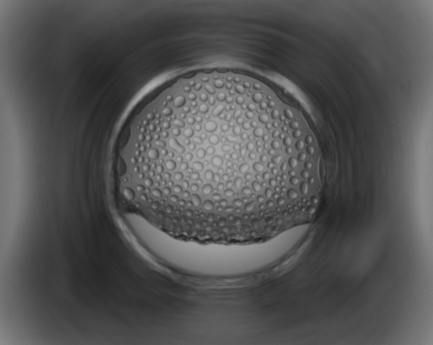 X0000083051142200703022105