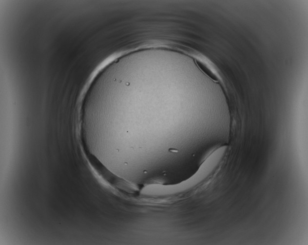 X0000083051143200703022105