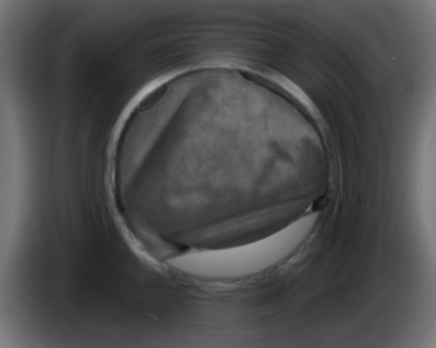 X0000083051144200703022105