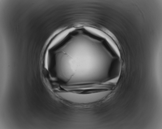 X0000083051146200703022105