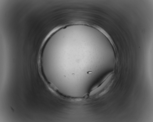 X0000083051149200703022105