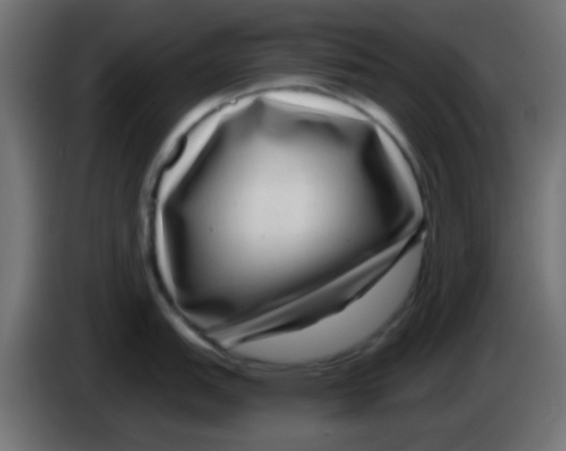 X0000083051151200703022105