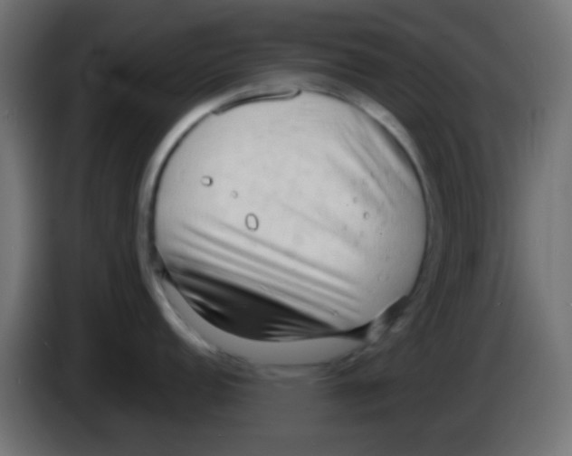 X0000083051152200703022105