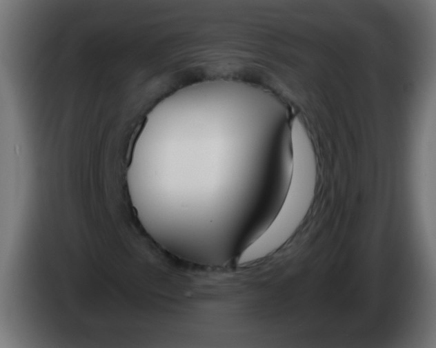 X0000083051153200703022104