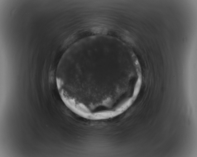 X0000083051154200703022104