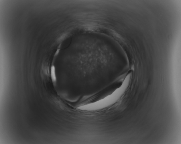 X0000083051155200703022104