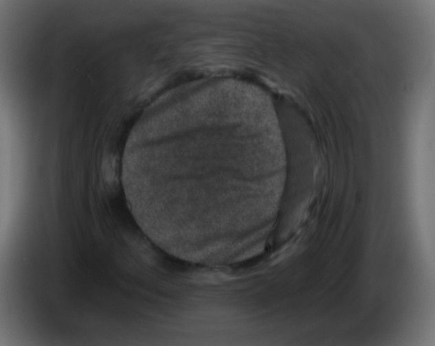 X0000083051156200703022104