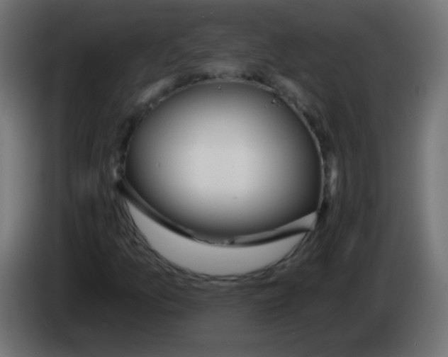 X0000083051157200703022104