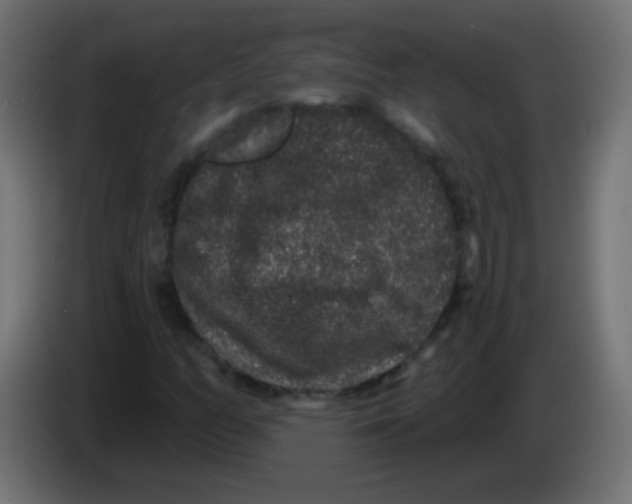 X0000083051158200703022104