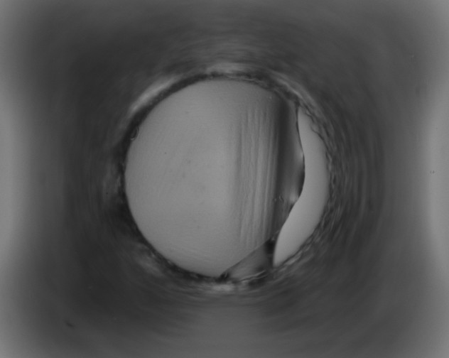 X0000083051160200703022104