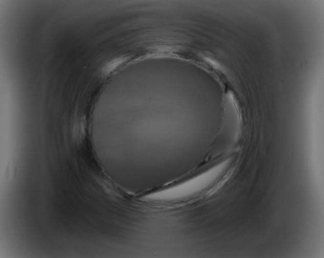 X0000083051161200703022104