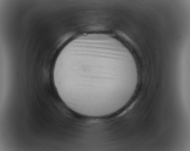 X0000083051162200703022104