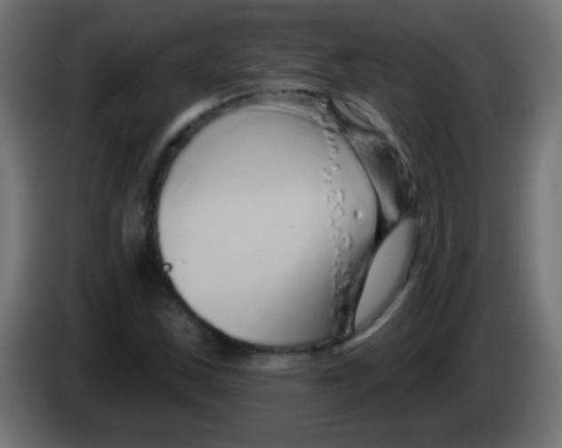 X0000083051163200703022104