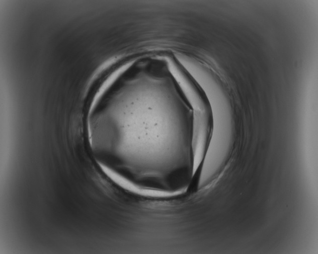 X0000083051164200703022104