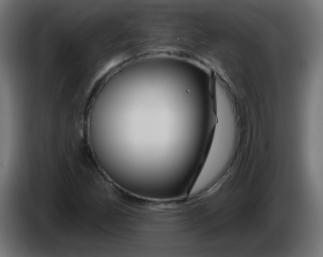 X0000083051165200703022104