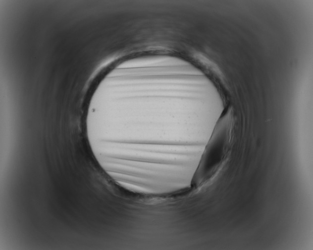 X0000083051166200703022104