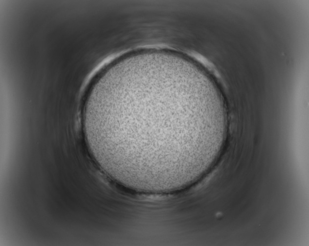 X0000083051167200703022104