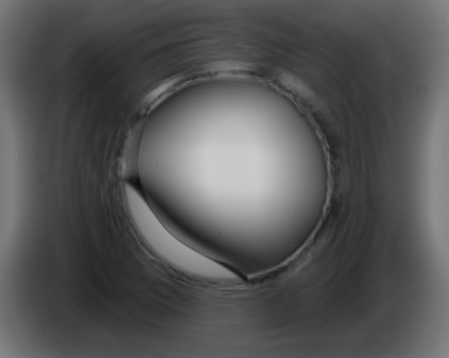 X0000083051169200703022104