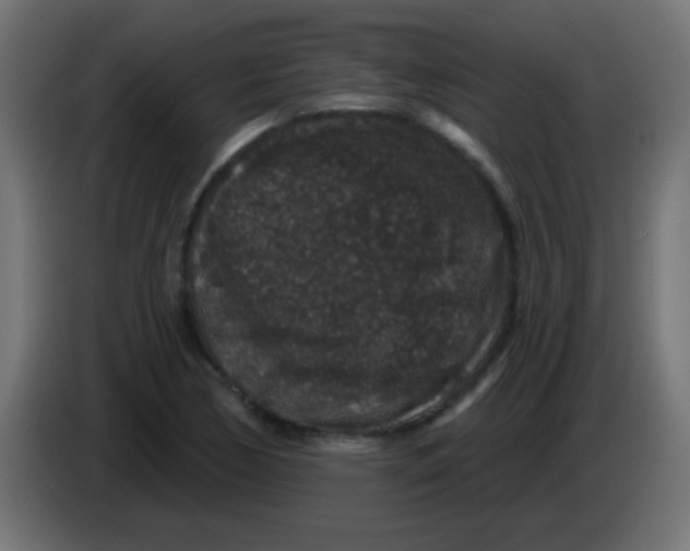 X0000083051170200703022104