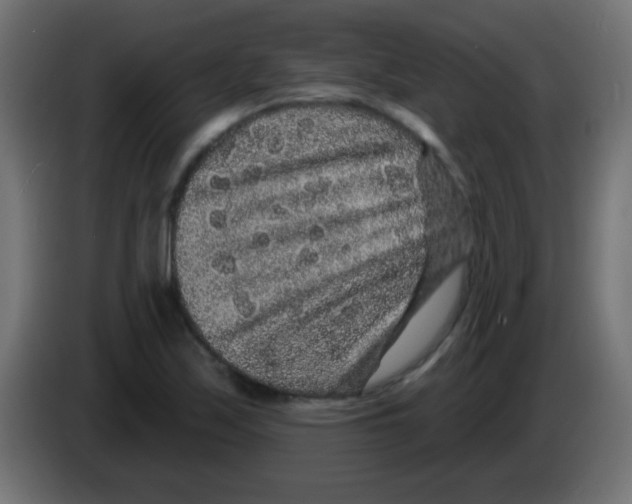 X0000083051171200703022104