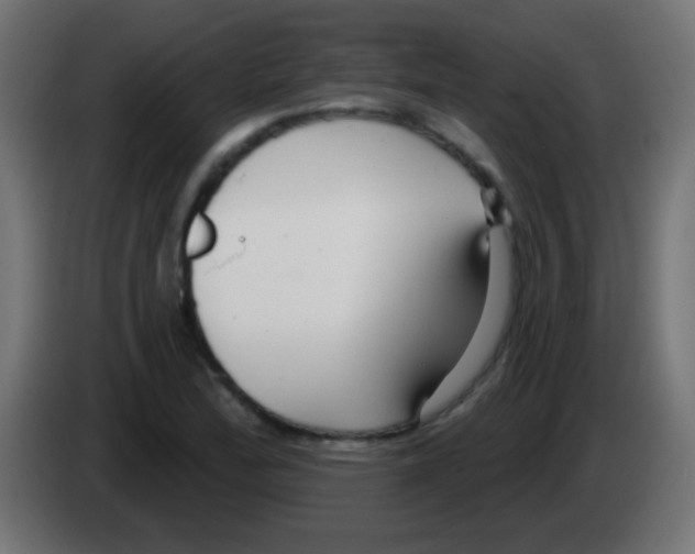 X0000083051172200703022104