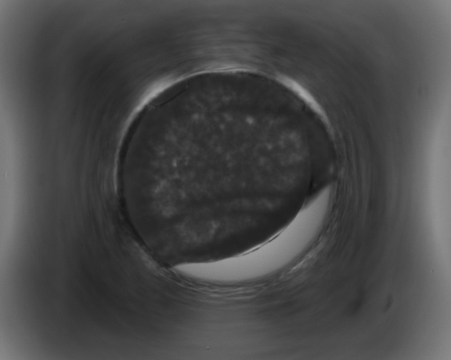 X0000083051173200703022104